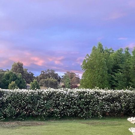Mudgee Guesthouse エクステリア 写真