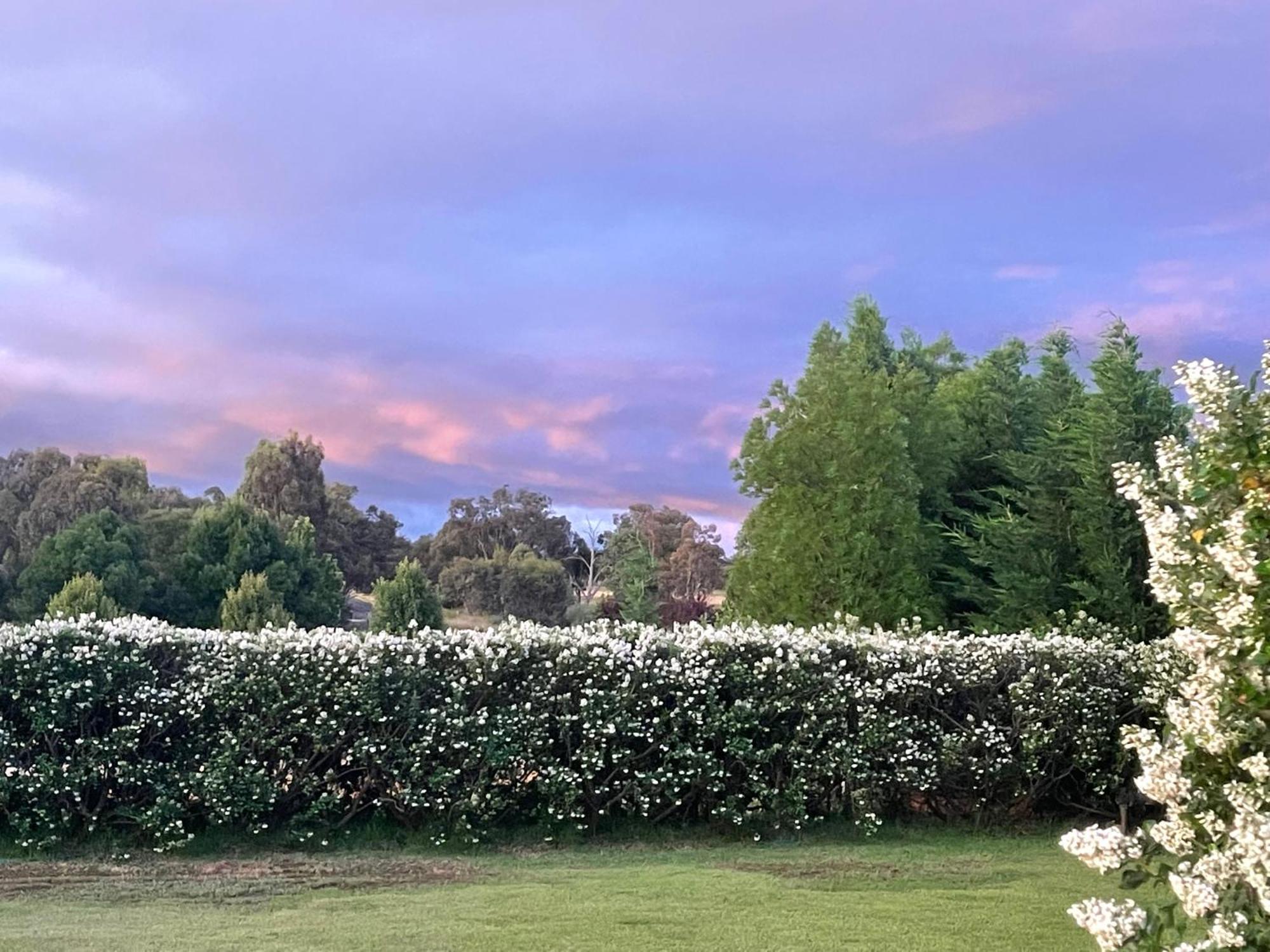 Mudgee Guesthouse エクステリア 写真
