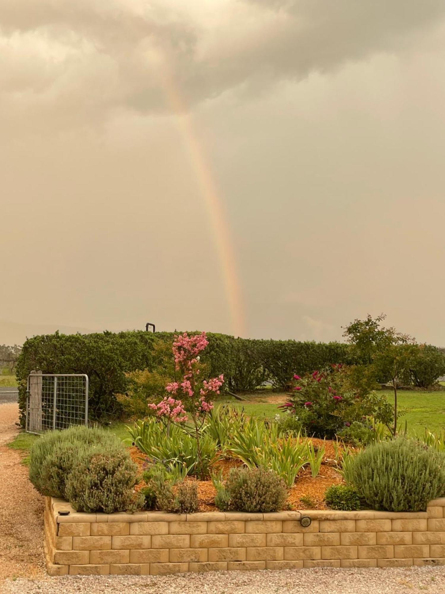 Mudgee Guesthouse エクステリア 写真